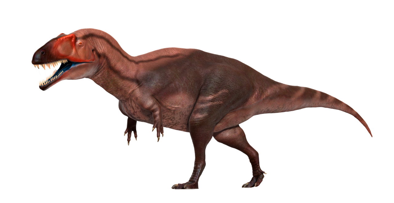 Side-view life reconstruction of Acrocanthosaurus atokensis
