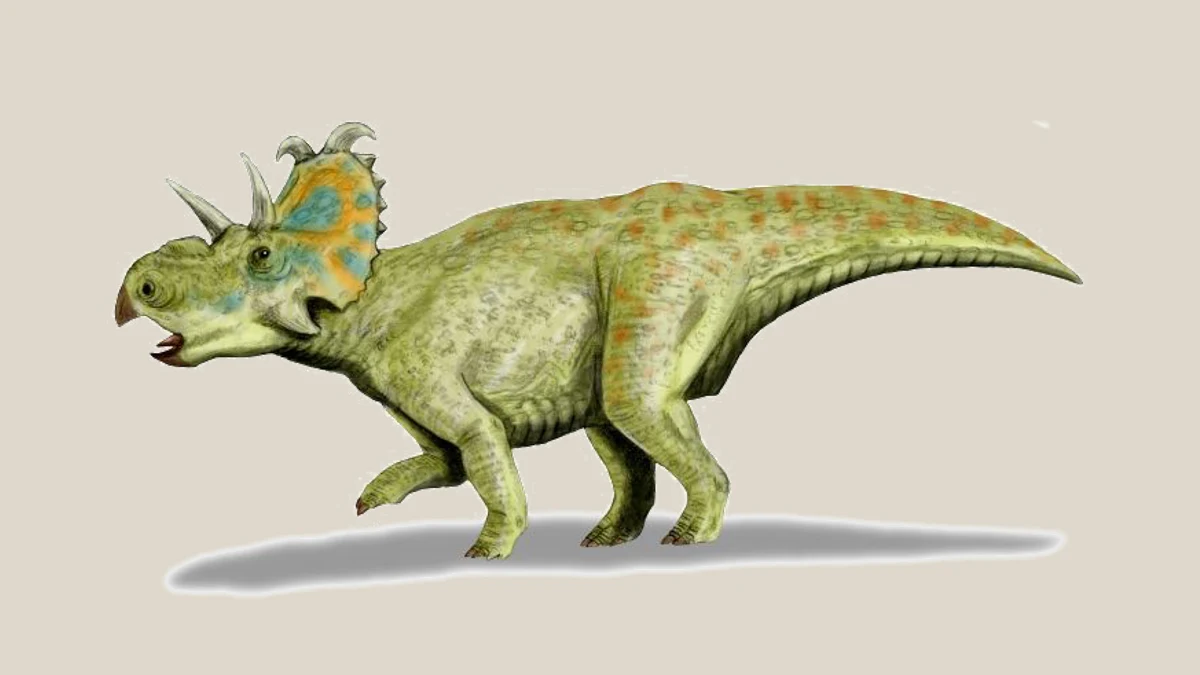 Full-body side-view life reconstruction of Albertaceratops nesmoi