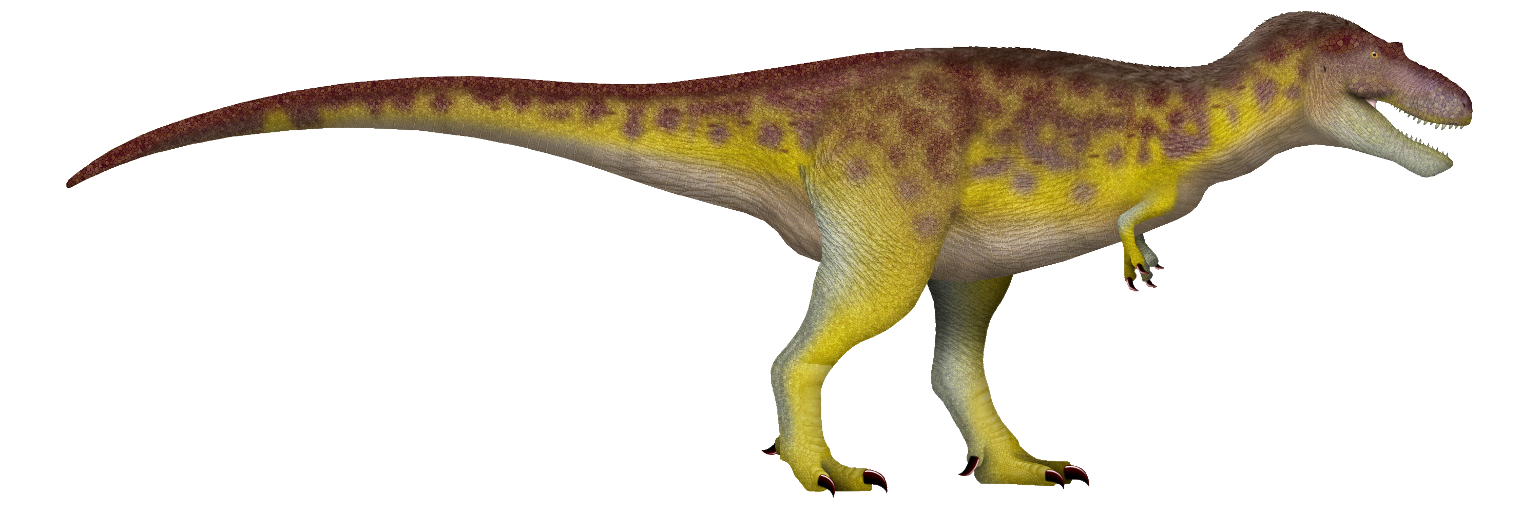 Side-view life reconstruction of Albertosaurus sarcophagus