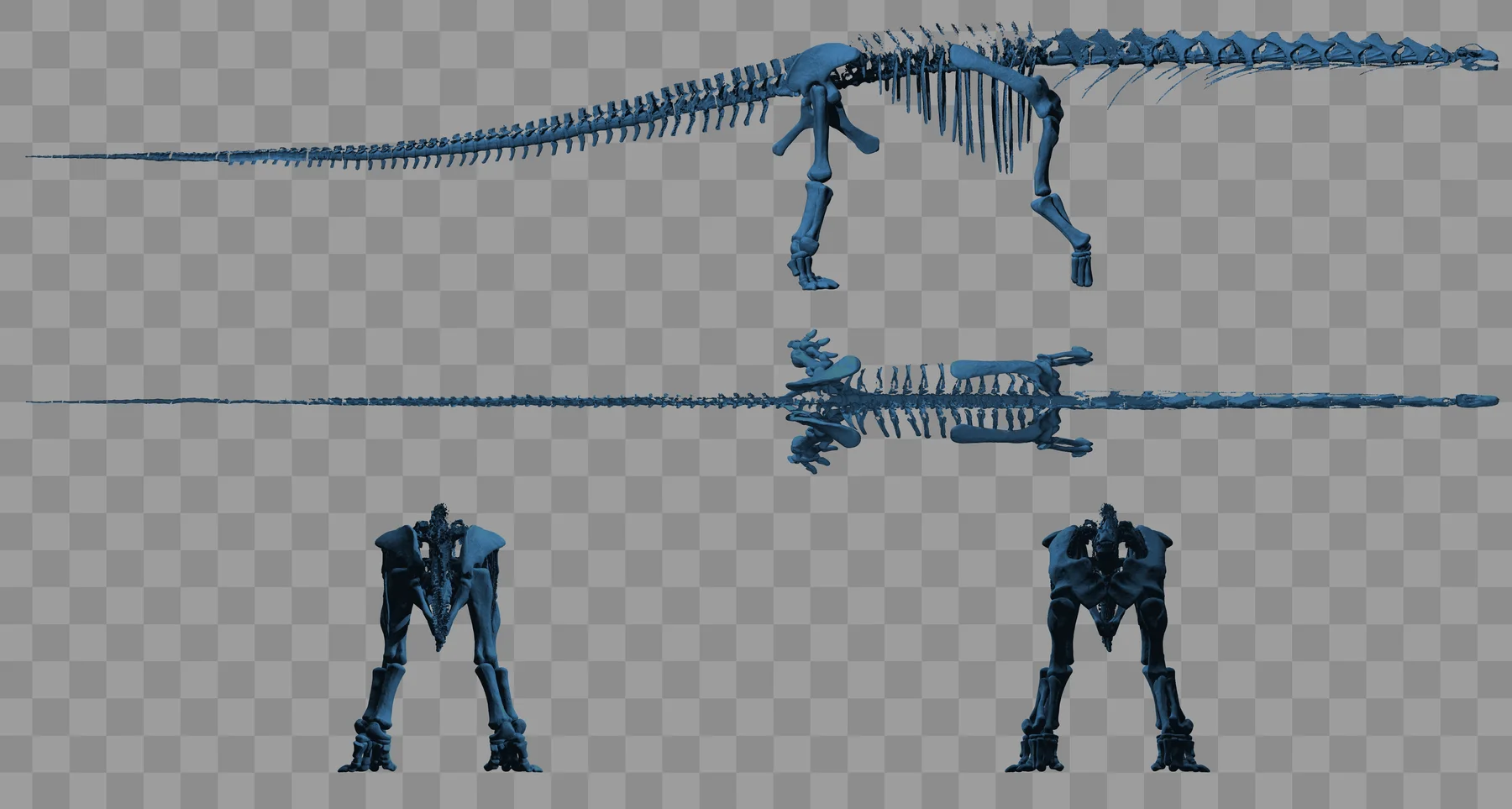 Digital skeletal and body model used in a locomotion simulation of Argentinosaurus