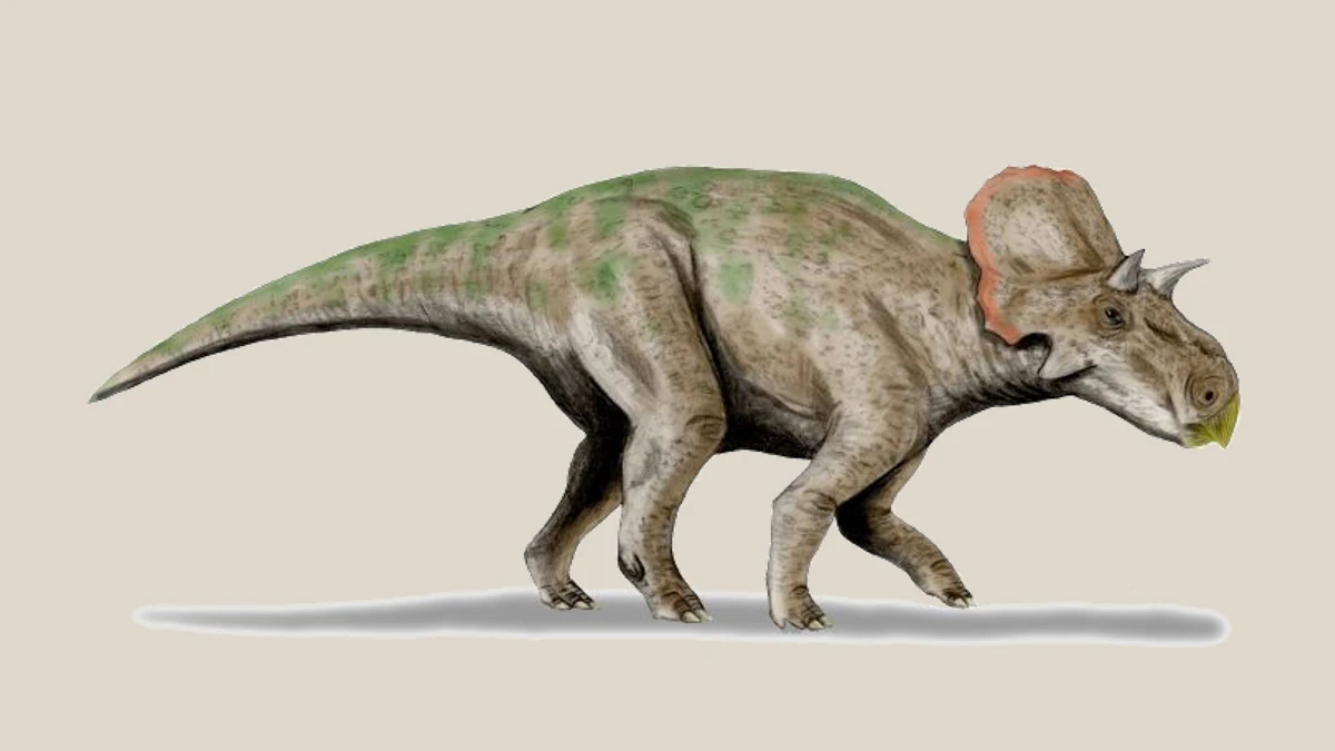 Side-view life reconstruction of Avaceratops lammersi