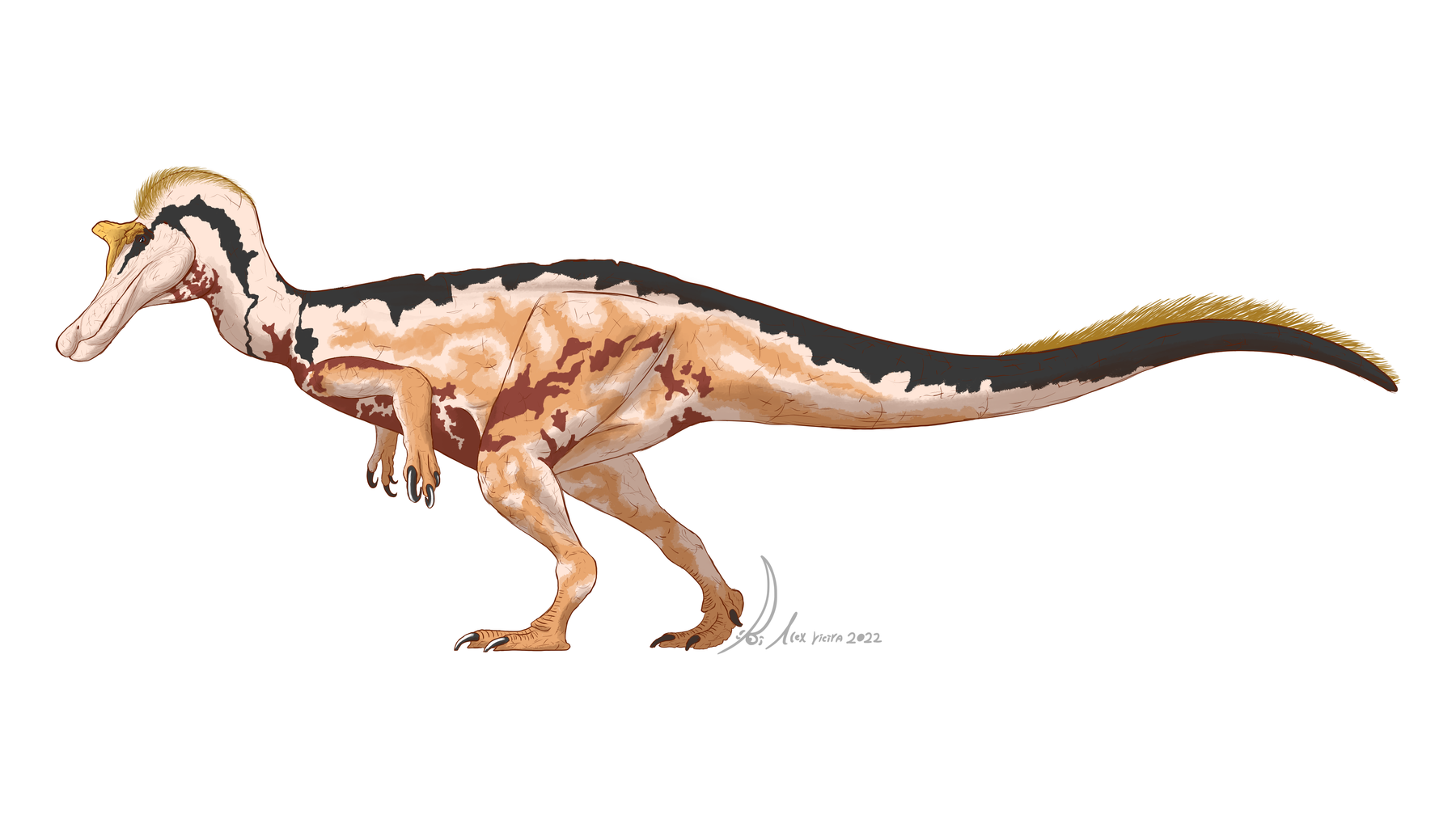 Side-view life reconstruction of Baryonyx walkeri by PaleoGeekSquared