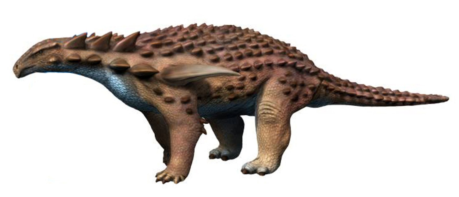 Evidence-based side-view life reconstruction of Borealopelta markmitchelli