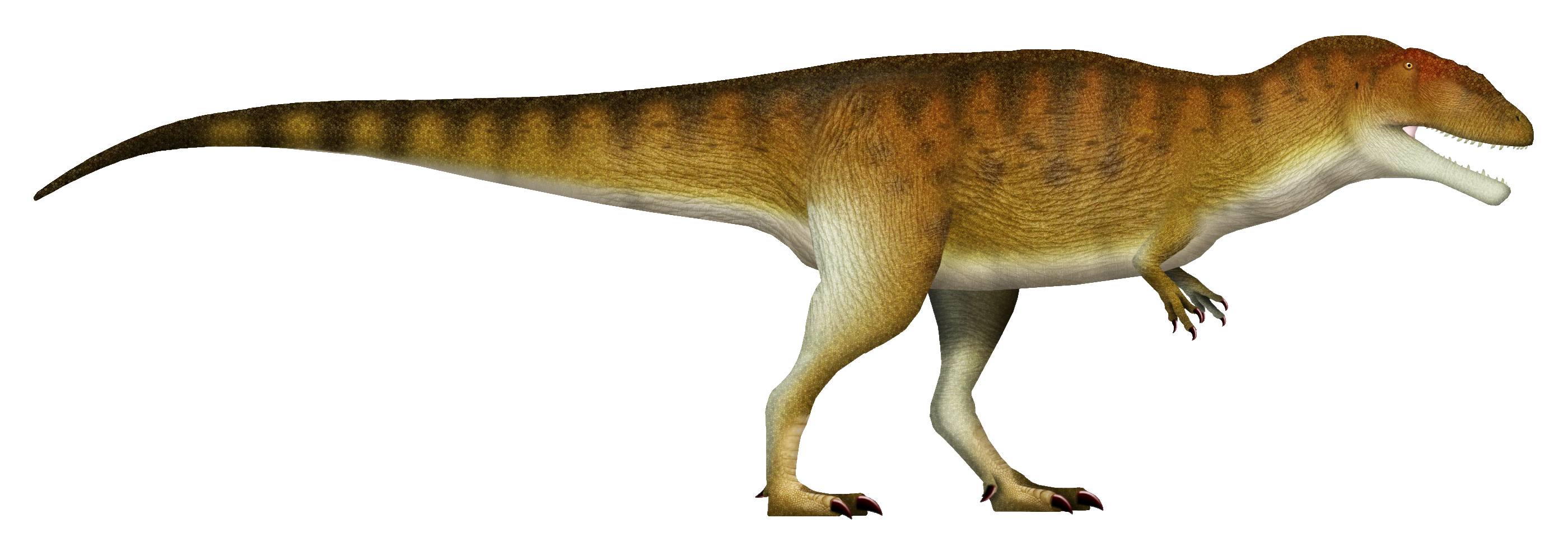 Side-view life reconstruction of Carcharodontosaurus