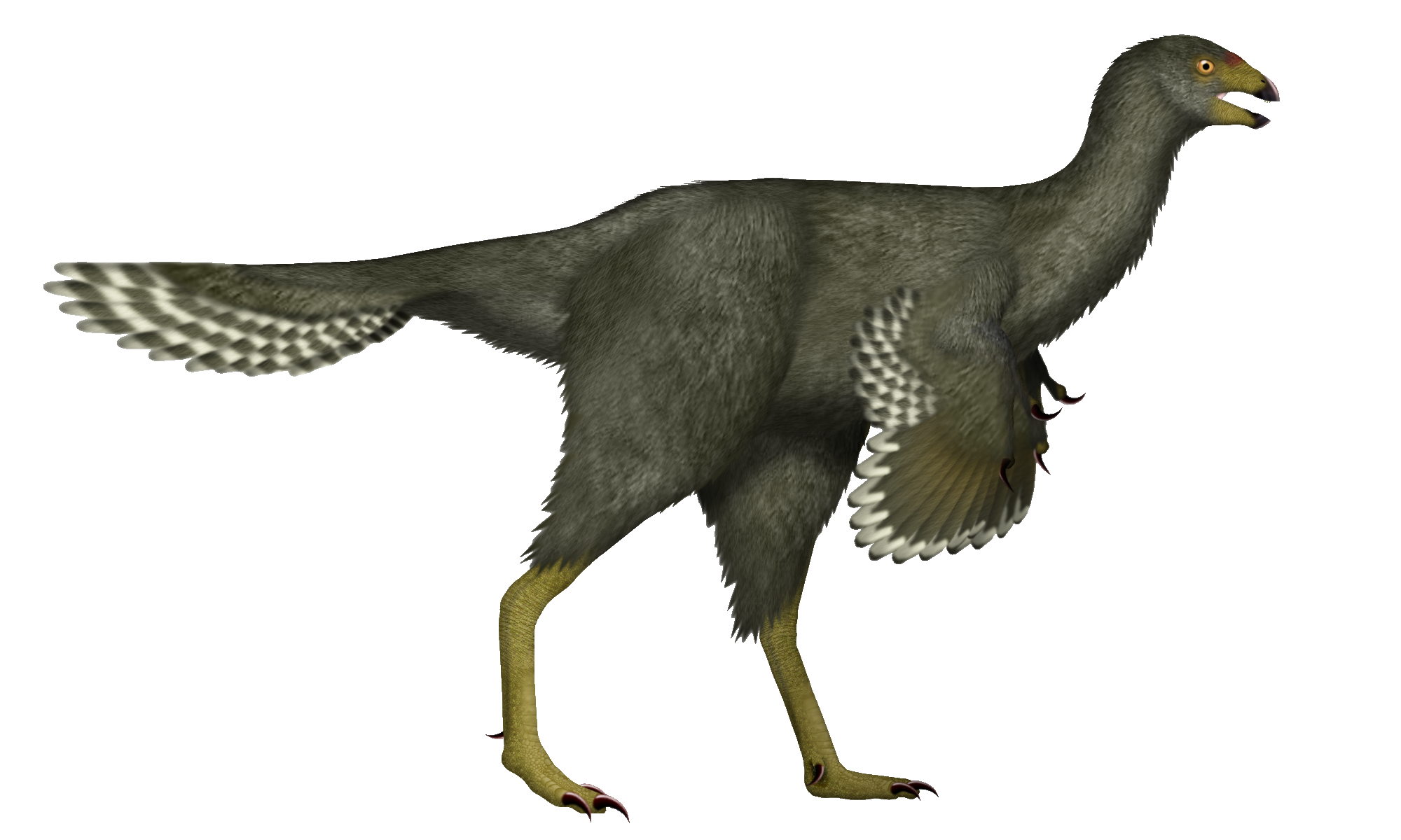 Feathered life reconstruction of Caudipteryx zoui