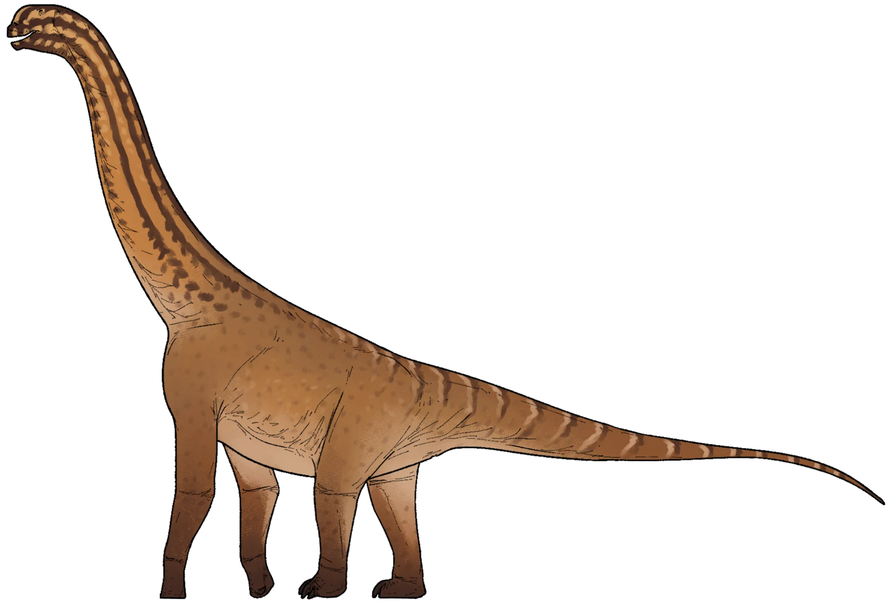 Side-view life reconstruction of Ceratocaudia antiqua