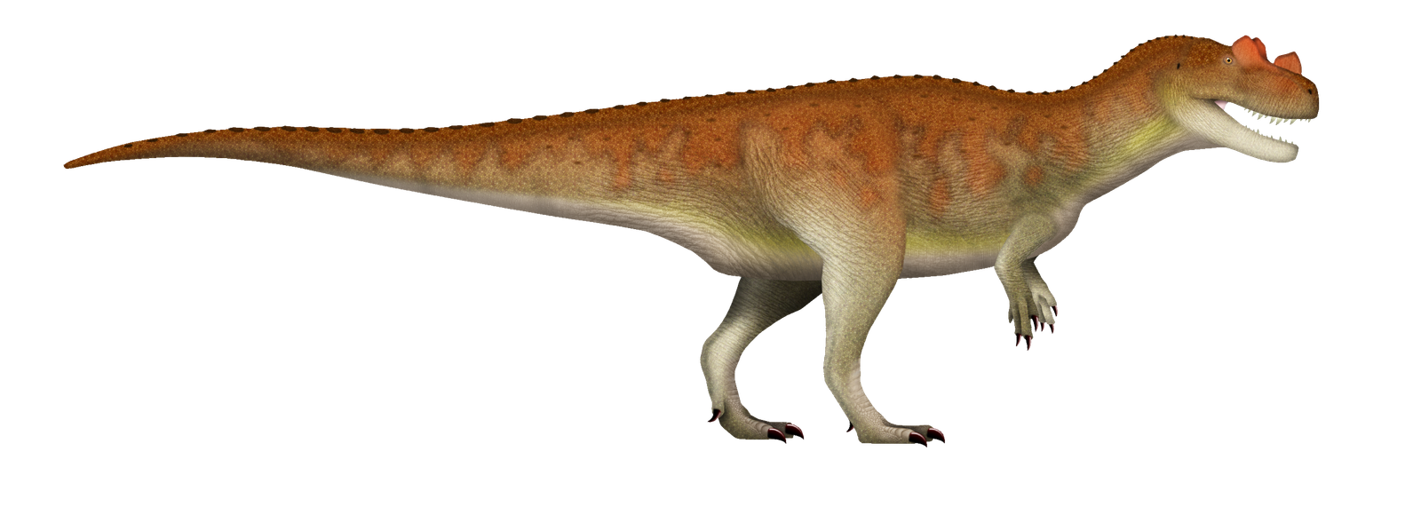 Side-view life reconstruction of Ceratosaurus nasicornis with nasal and brow ornaments