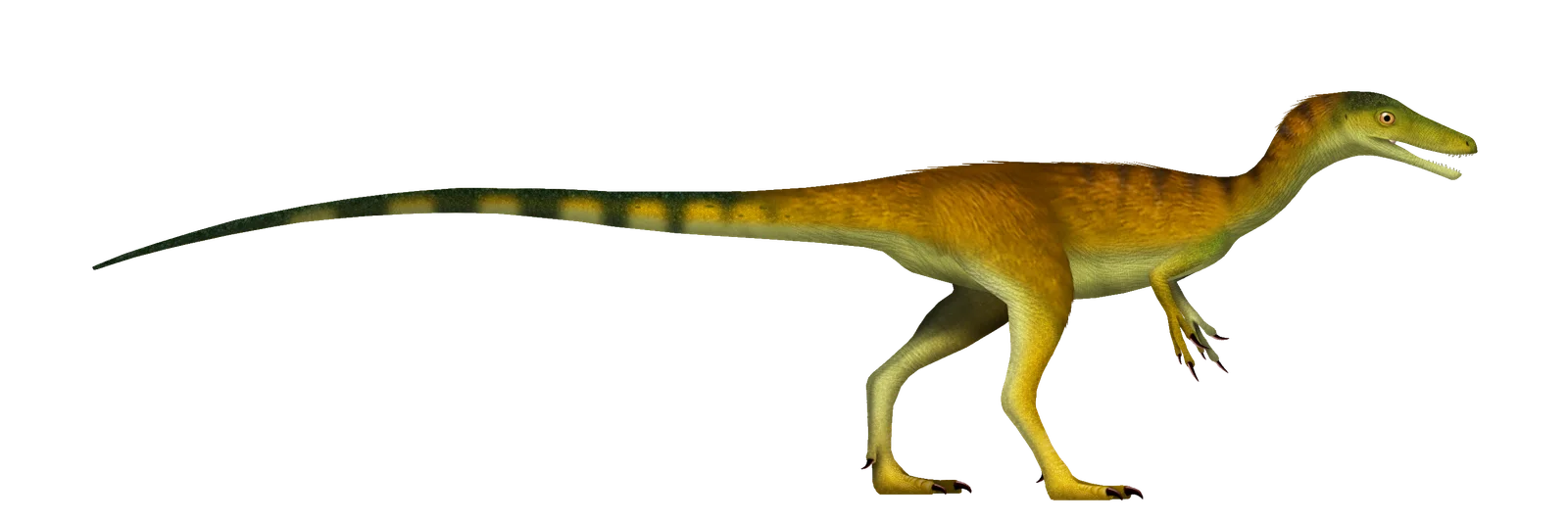 Side-view life reconstruction of Compsognathus longipes