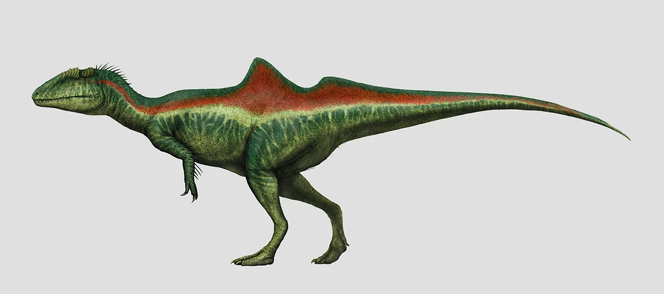 Full-body side-view life reconstruction of Concavenator corcovatus