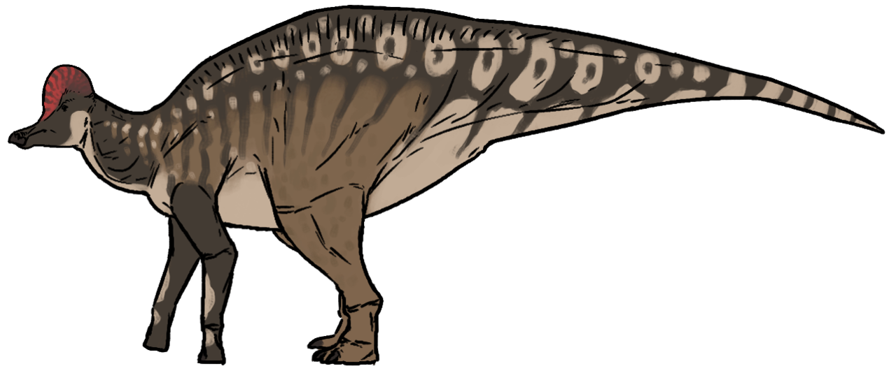 Life reconstruction of Corythosaurus casuarius