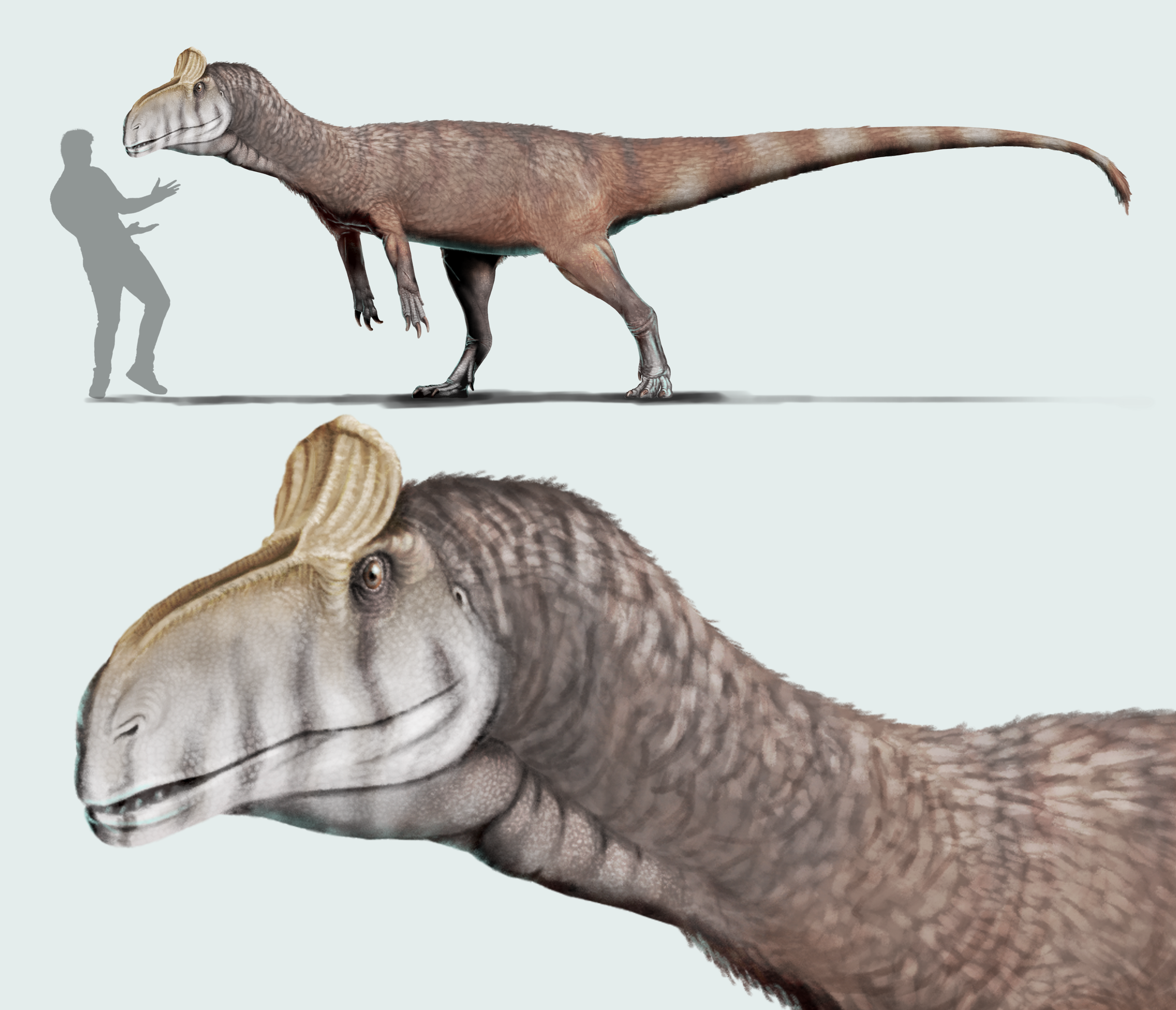 Full-body and head life reconstruction of Cryolophosaurus ellioti