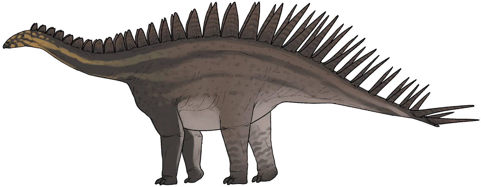 Side-view life reconstruction of Dacentrurus armatus