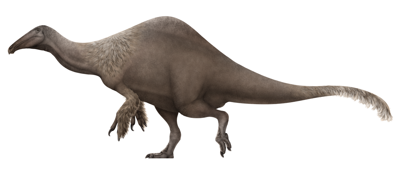Side-view life reconstruction of Deinocheirus mirificus
