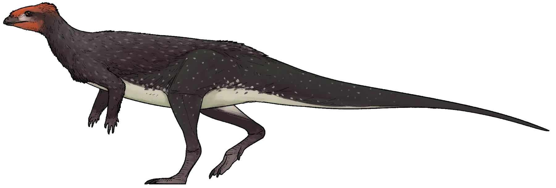 Life reconstruction of the juvenile Doolysaurus huhmini