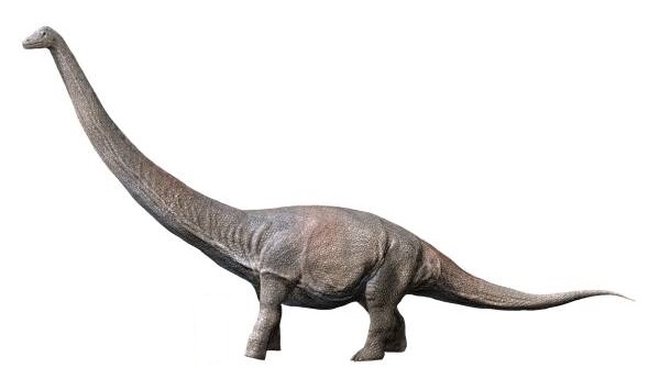 Side-view life reconstruction of Dreadnoughtus schrani