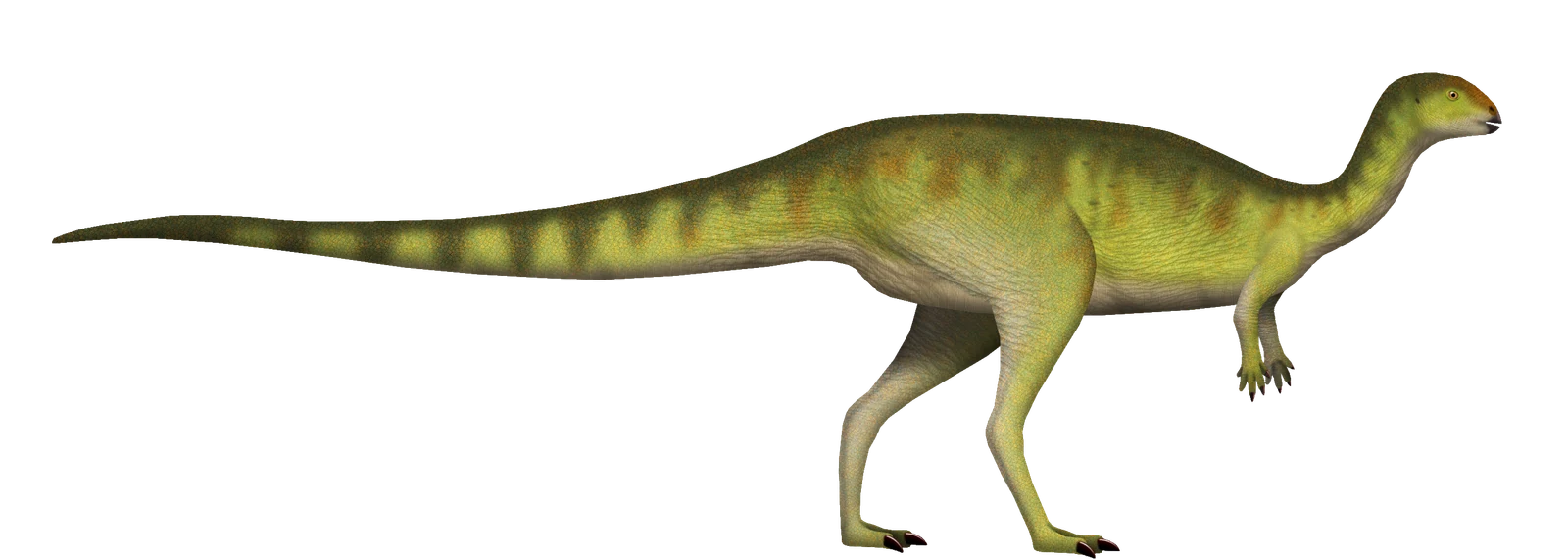 Side-view life reconstruction of Dryosaurus altus