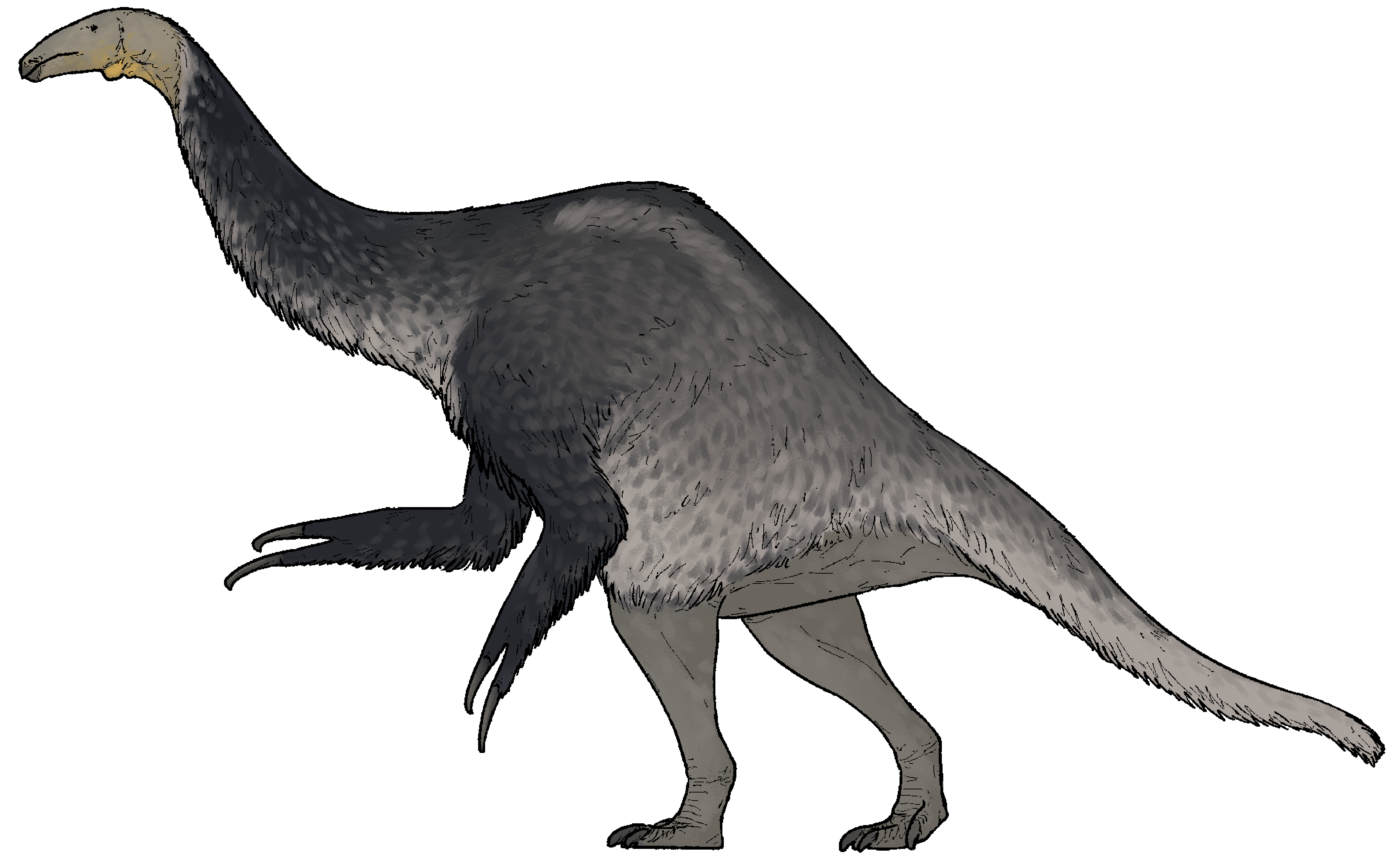 Feathered life reconstruction of Duonychus tsogtbaatari