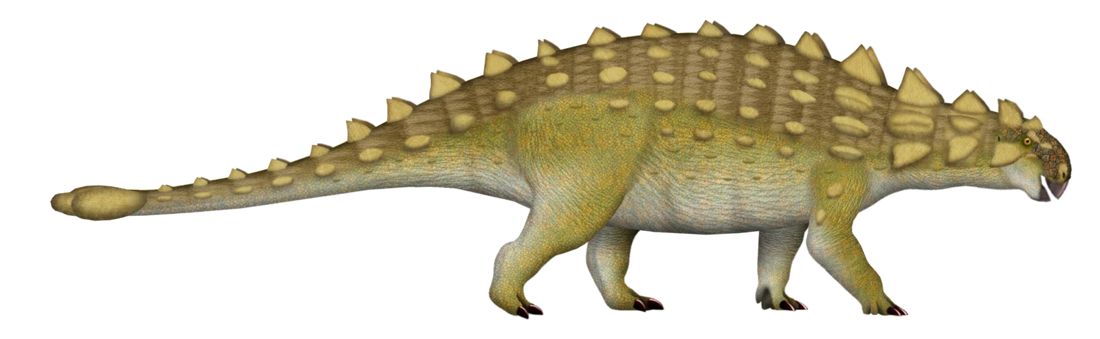 Side-view life reconstruction of Euoplocephalus tutus