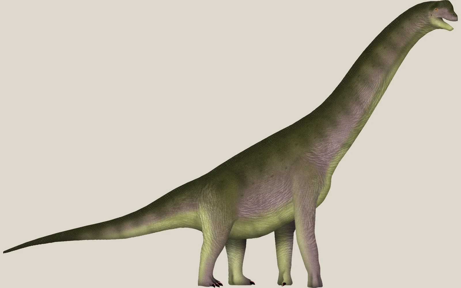Side-view life reconstruction of Europasaurus holgeri
