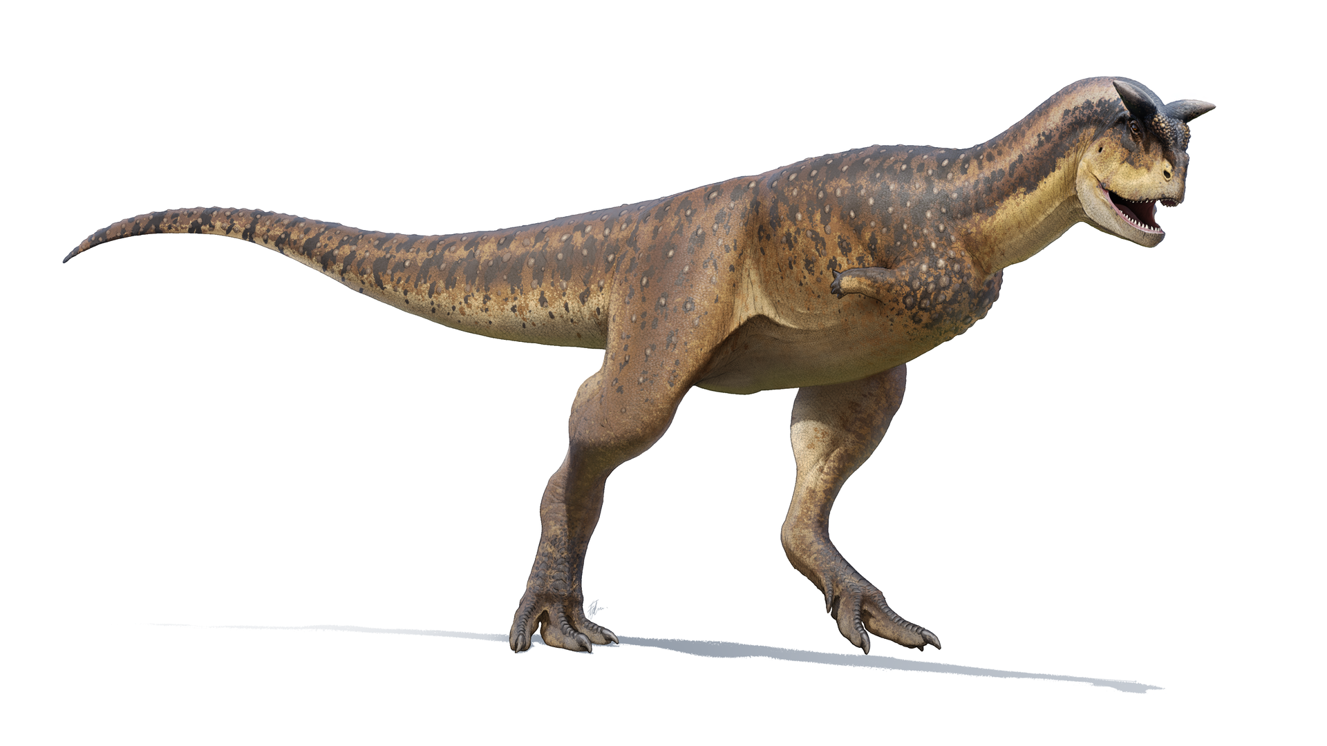 Side-view life reconstruction of Carnotaurus sastrei by Fred Wierum