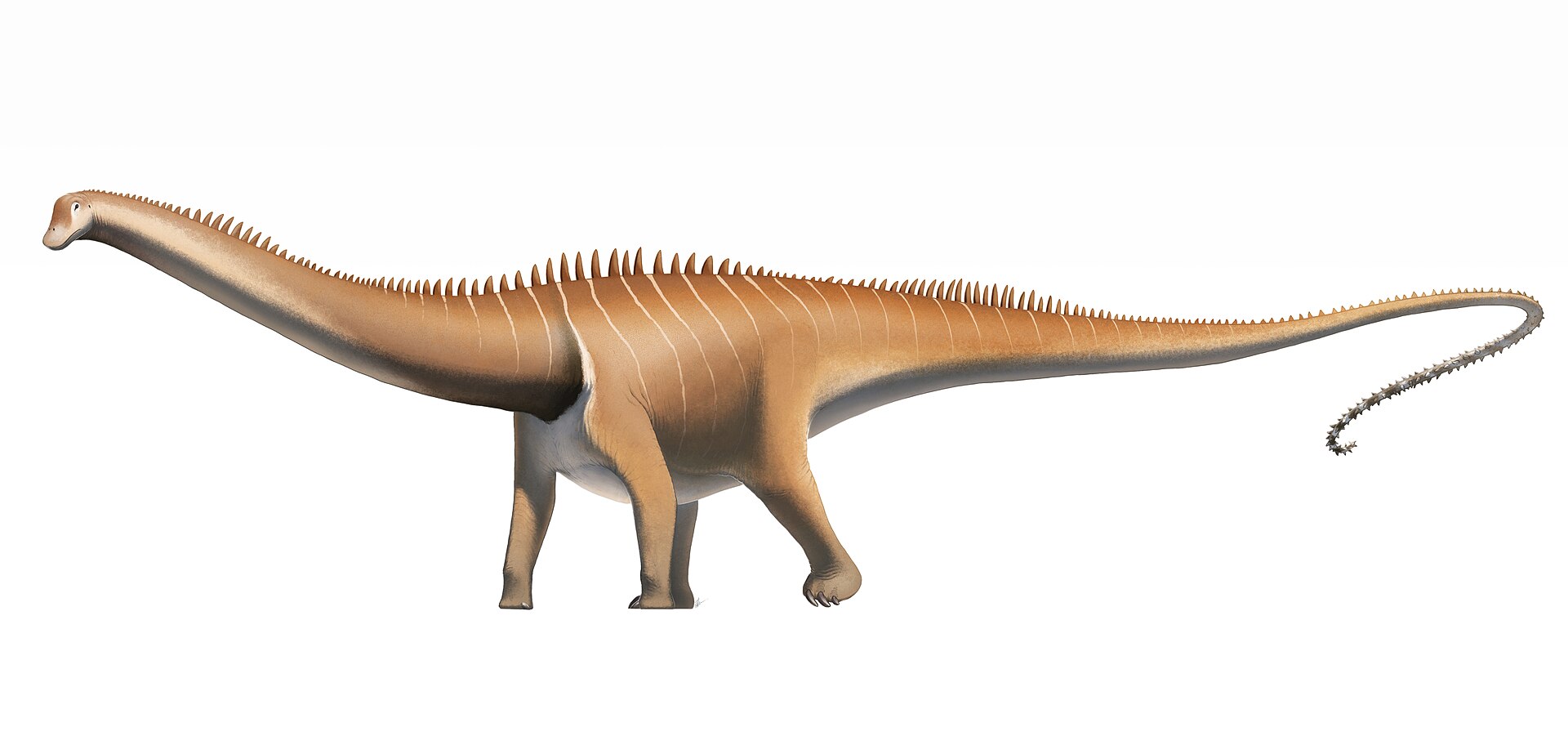 Side-view life reconstruction of Diplodocus carnegii by Fred Wierum