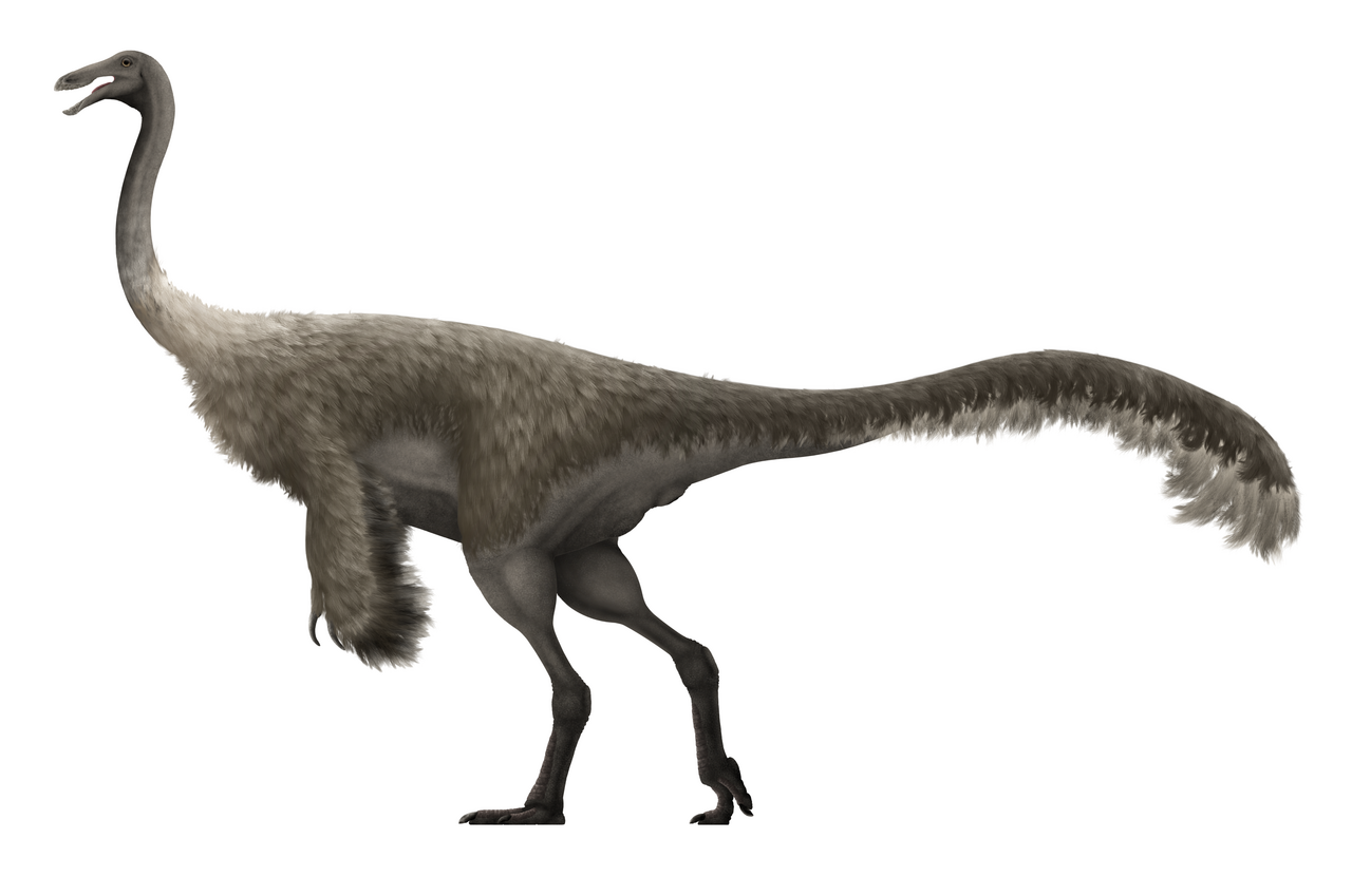 Feathered life reconstruction of Gallimimus bullatus