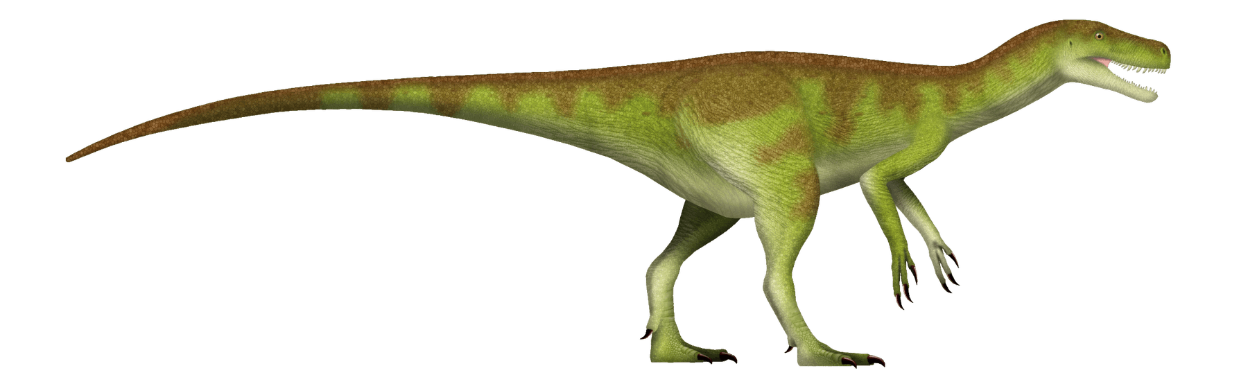 Side-view life reconstruction of Herrerasaurus ischigualastensis