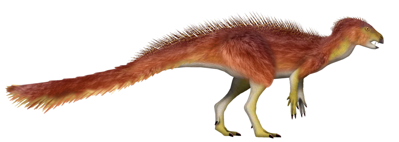 Full-body side-view reconstruction of Heterodontosaurus tucki