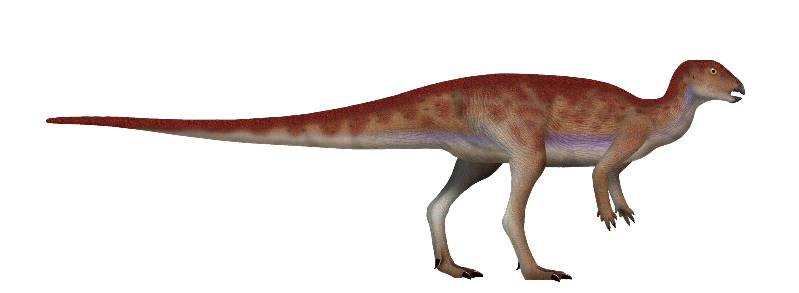 Side-view life reconstruction of Hypsilophodon foxii