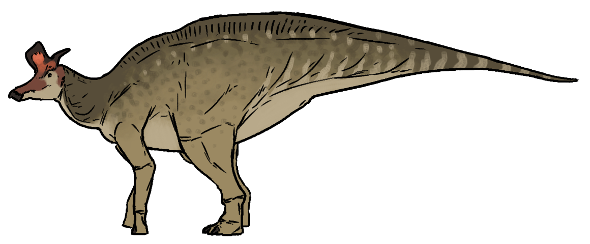 Side-view life reconstruction of Lambeosaurus lambei