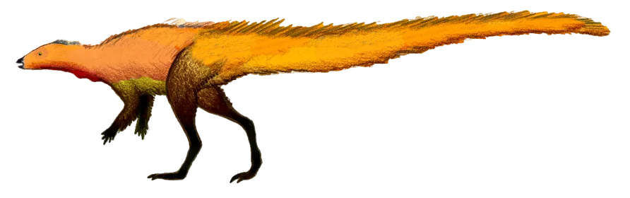 Full-body side-view reconstruction of Leaellynasaura amicagraphica