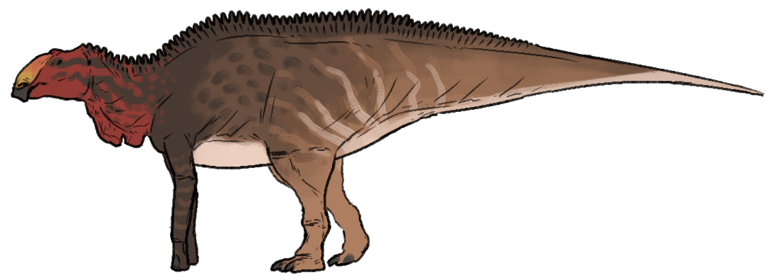 Side-view life reconstruction of Maiasaura peeblesorum