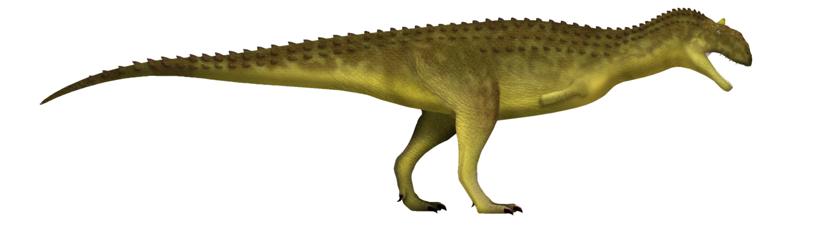 Full-body side-view life reconstruction of Majungasaurus crenatissimus
