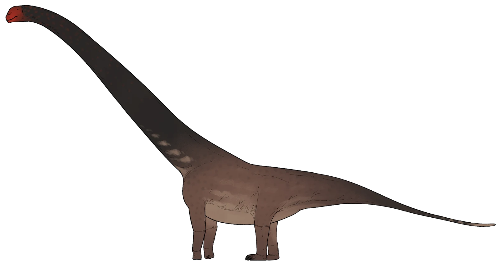 Life reconstruction of Mamenchisaurus sanjiangensis, shown as a representative relative of Mamenchisaurus hochuanensis