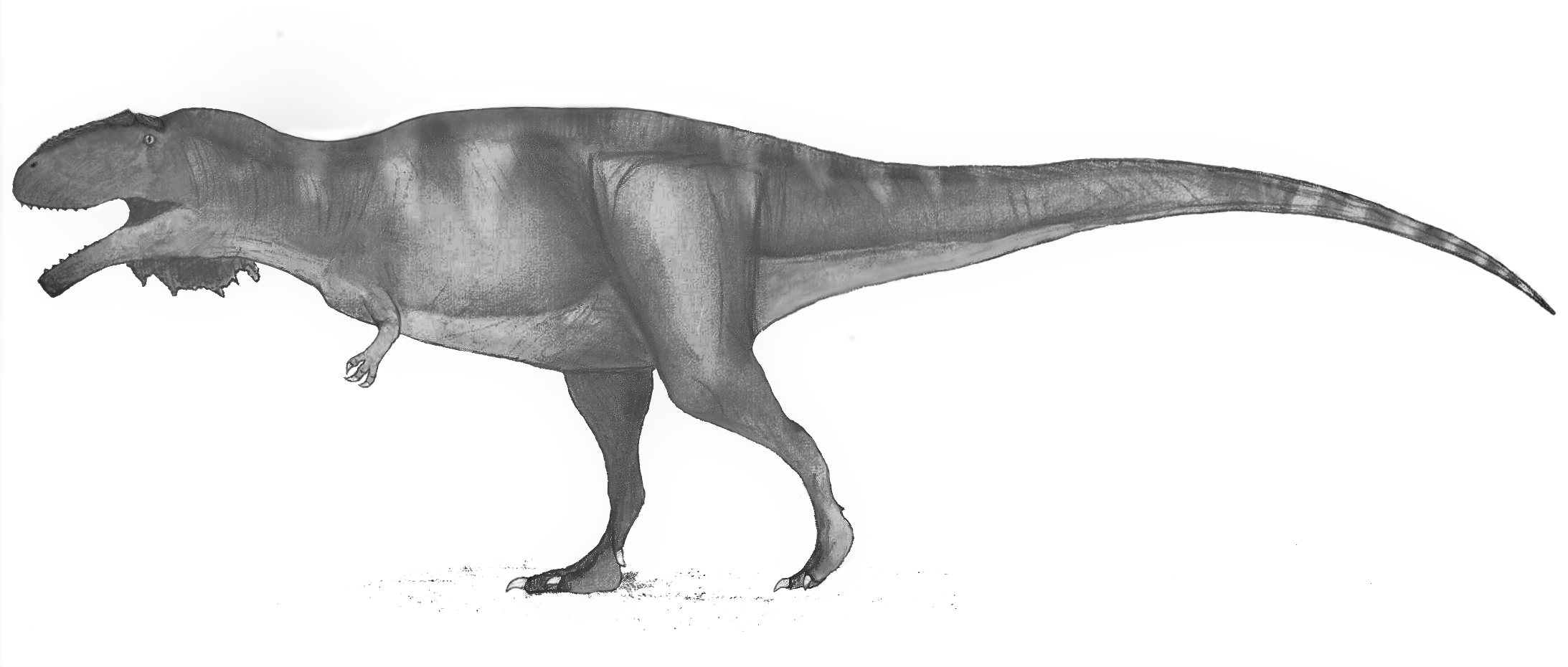 Side-view life reconstruction of Mapusaurus roseae
