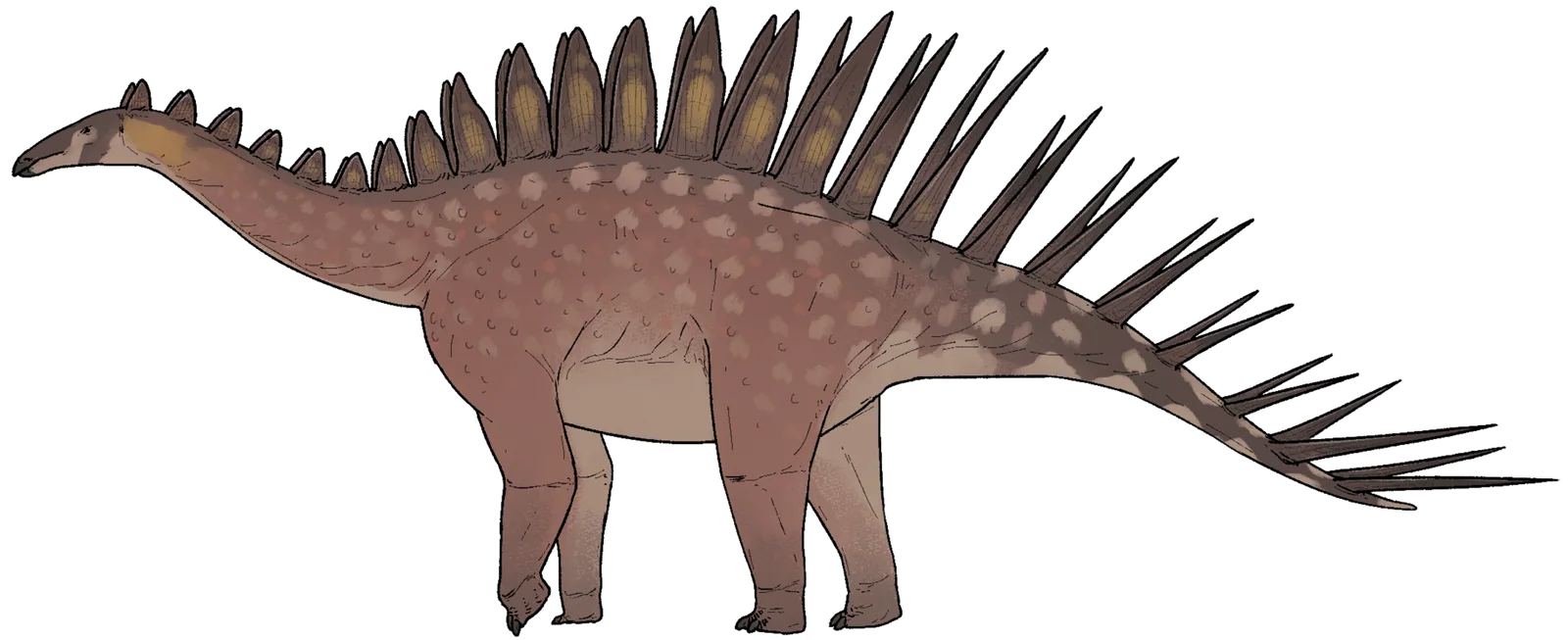 Full-body side-view life reconstruction of Miragaia longicollum
