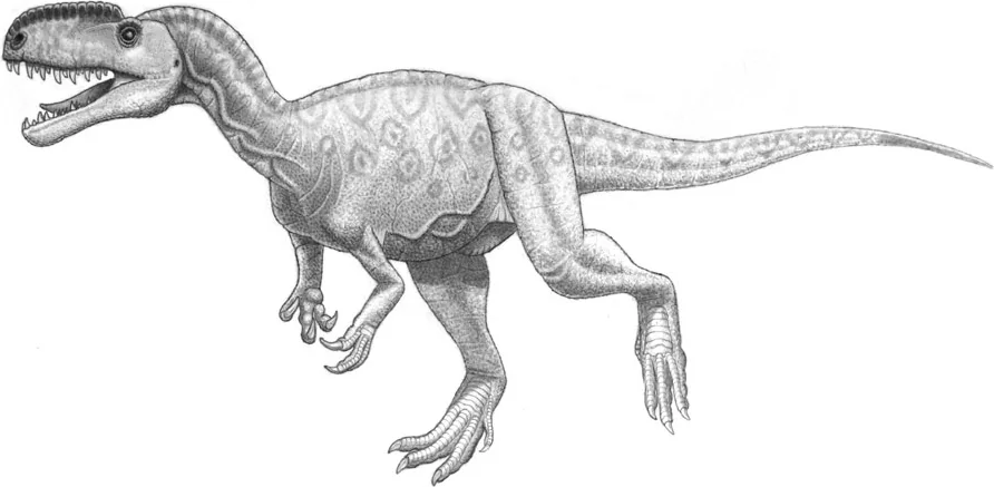 Full-body side-view reconstruction of Monolophosaurus jiangi