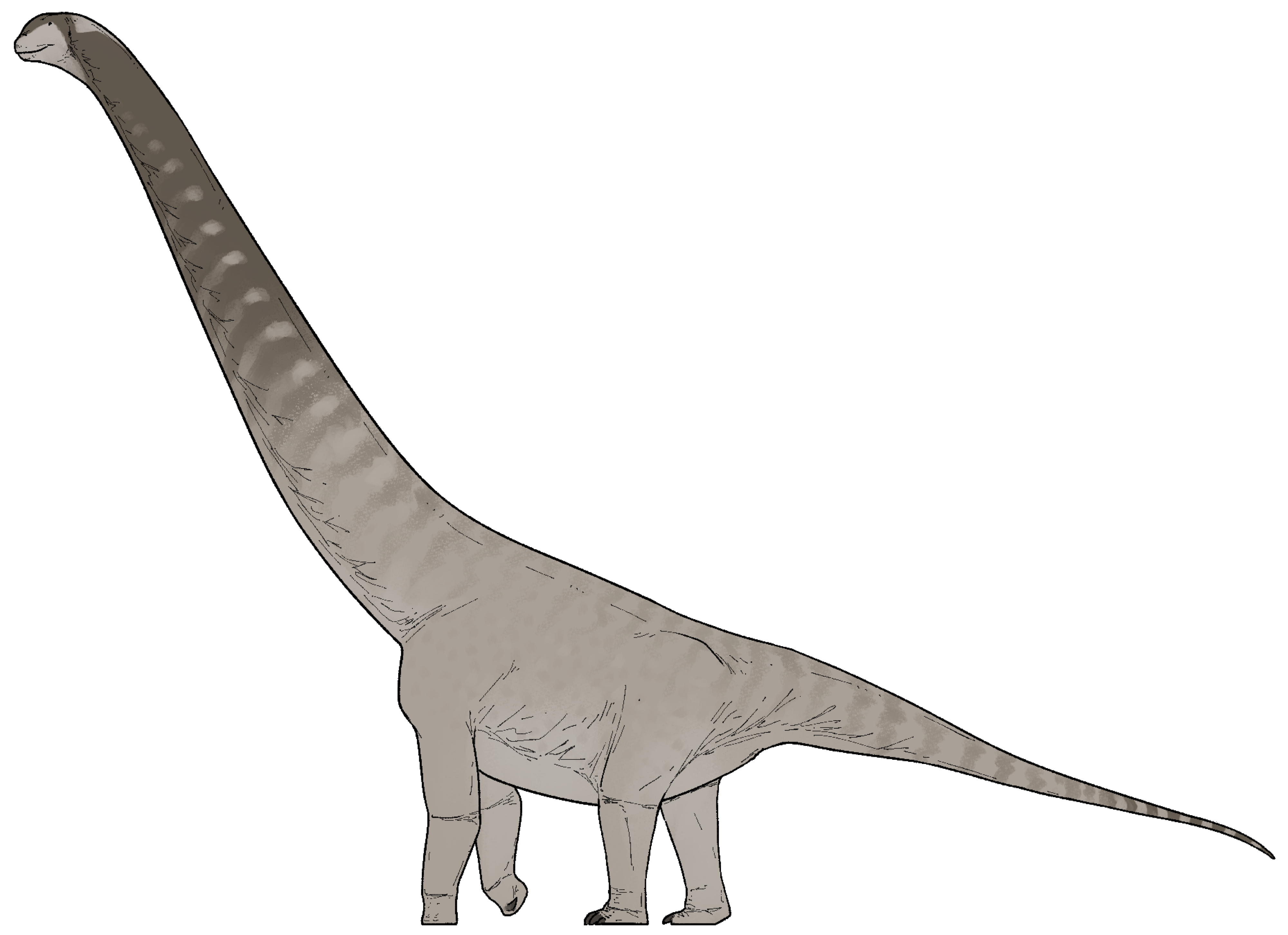 Life reconstruction of Nagatitan chaiyaphumensis