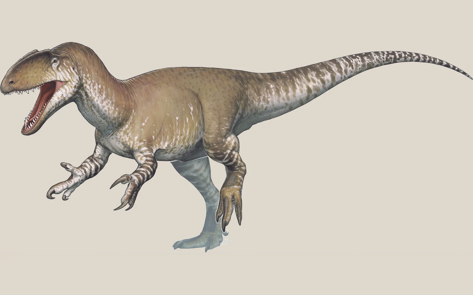 Side-view life reconstruction of Neovenator salerii