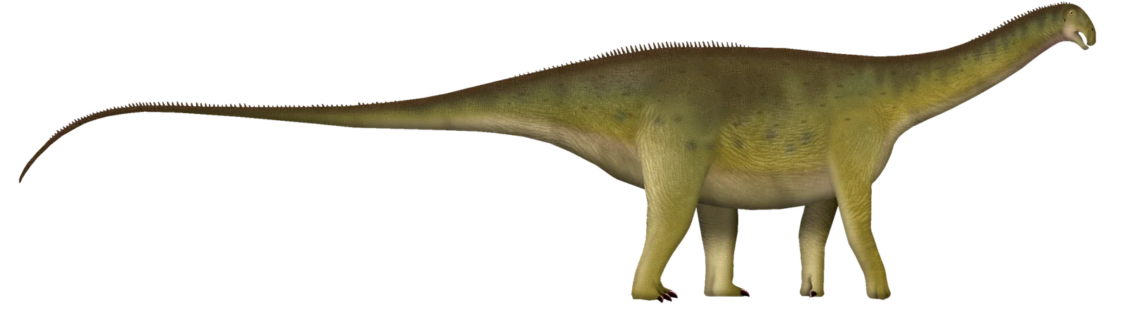 Full-body side-view life reconstruction of Nigersaurus taqueti