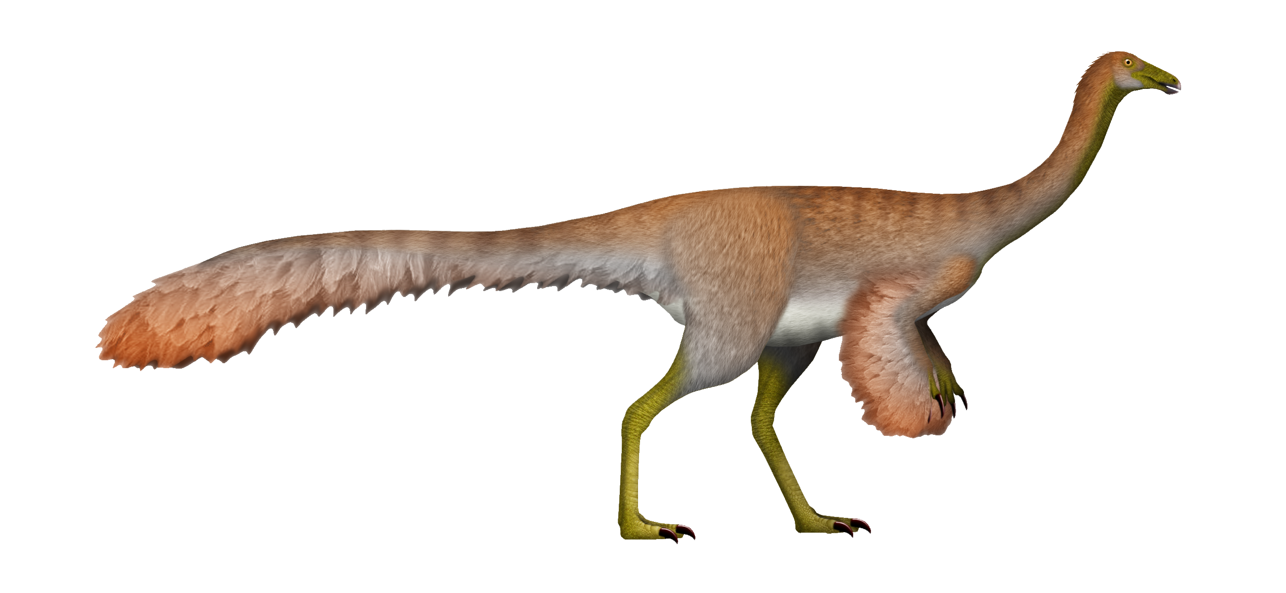 Feathered side-view reconstruction of Ornithomimus