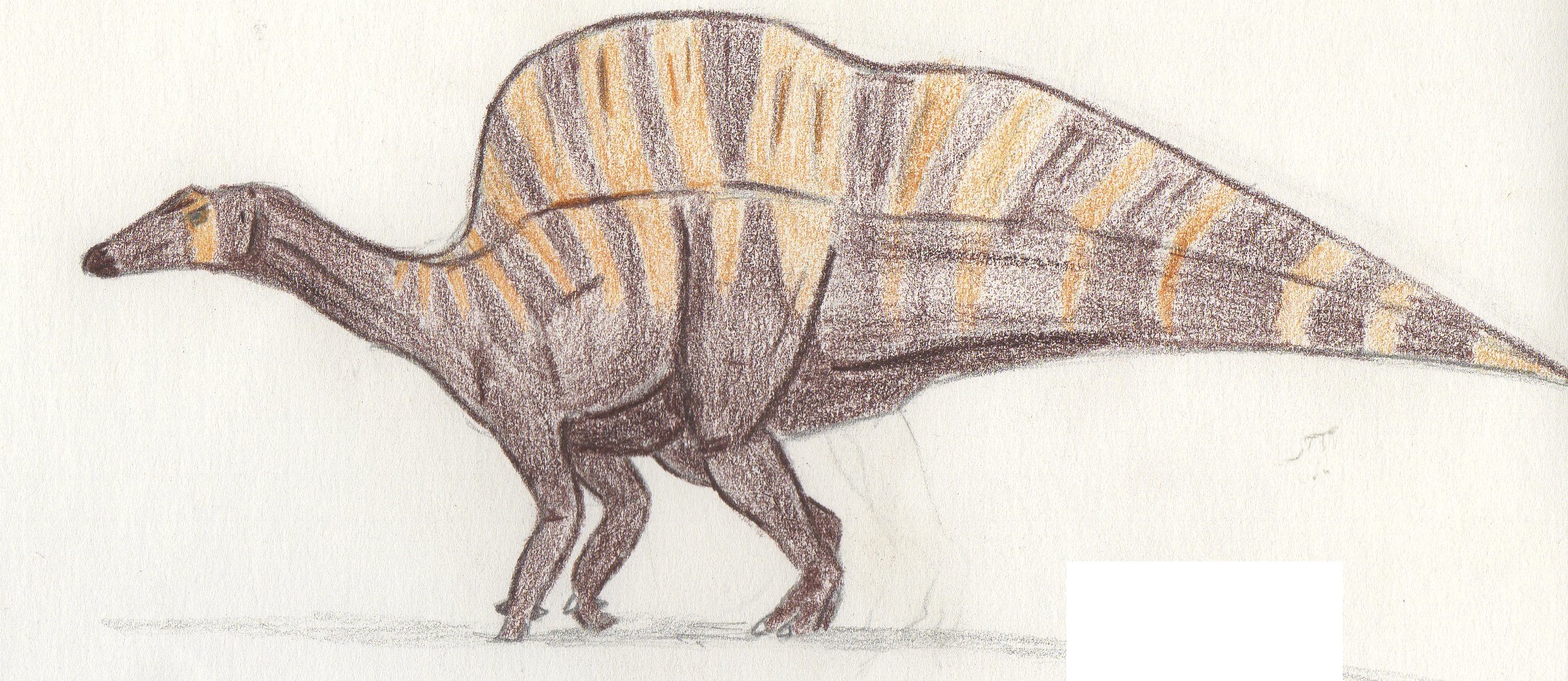 Side-view life reconstruction of Ouranosaurus nigeriensis