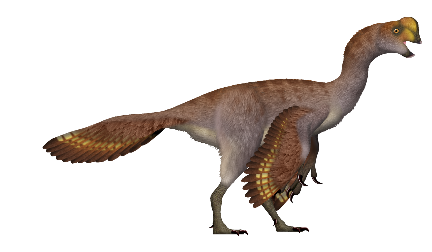 Feathered life reconstruction of Oviraptor philoceratops