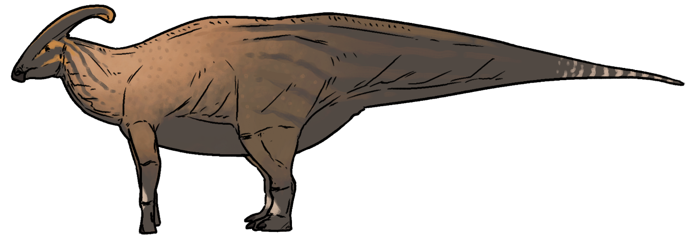 Side-view life reconstruction of Parasaurolophus walkeri