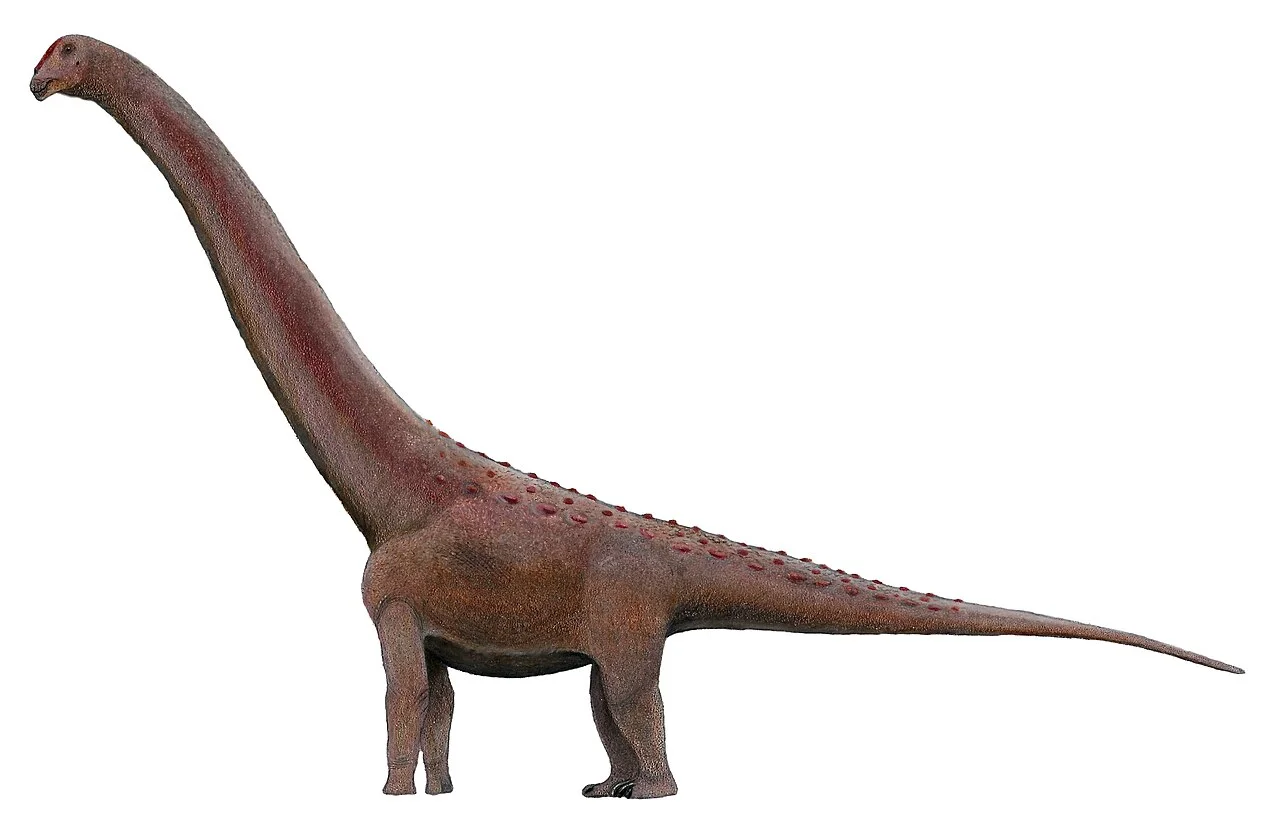 Side-view life reconstruction of Patagotitan mayorum