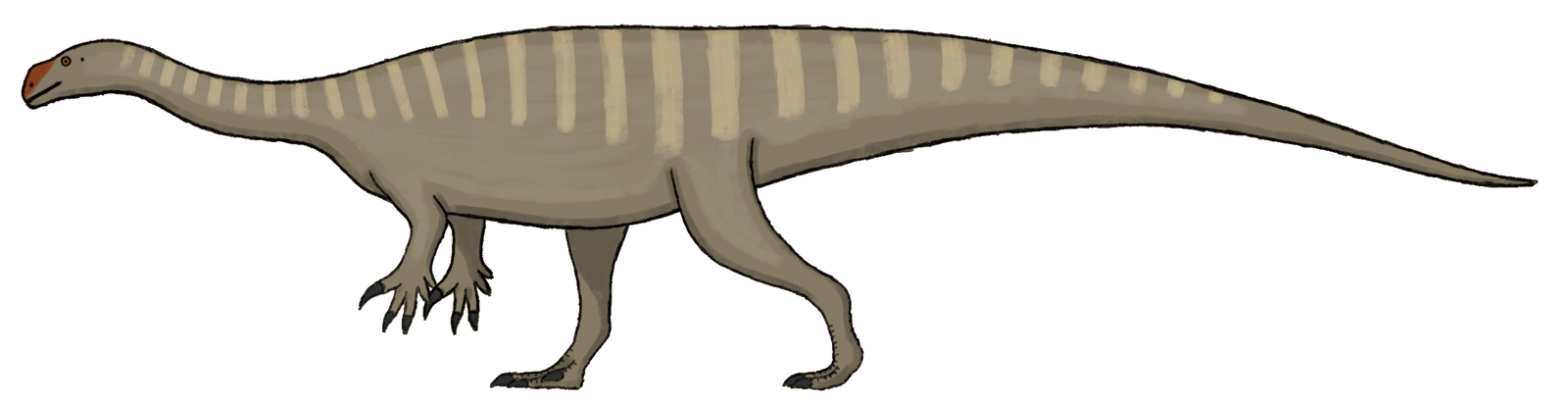 Side-view life reconstruction of Plateosaurus trossingensis with a long neck and tail