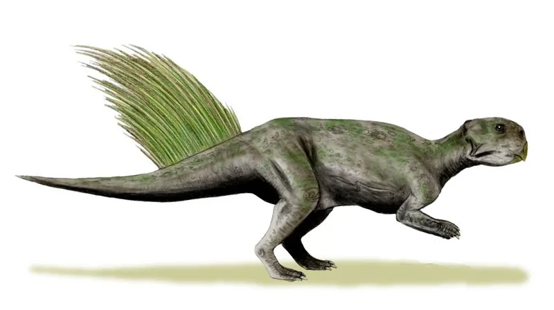 Side-view life reconstruction of Psittacosaurus mongoliensis