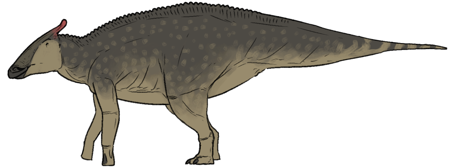 Side-view life reconstruction of Saurolophus osborni