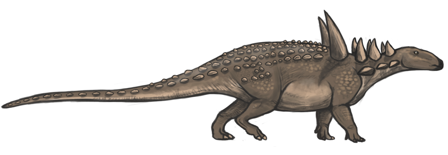 Side-view life reconstruction of Sauropelta edwardsorum