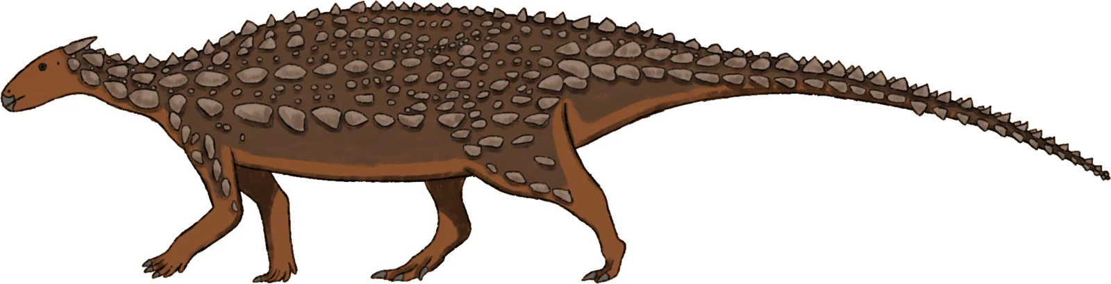 Full-body side-view reconstruction of Scelidosaurus harrisonii